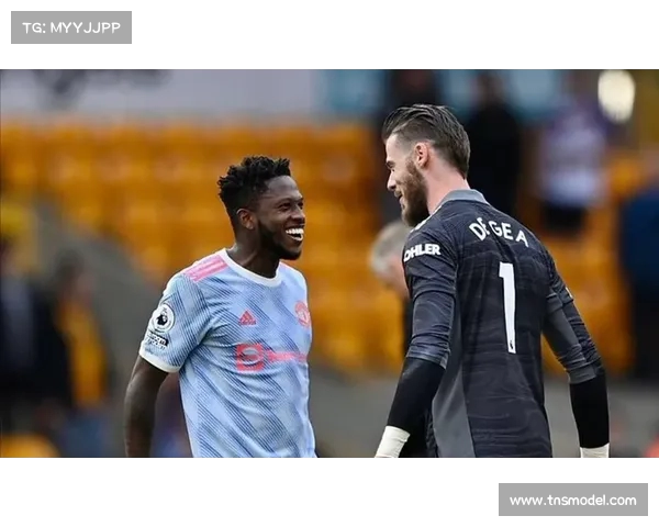 德科新引援：锁定布罗霍尔姆，中心核心即将加盟