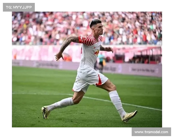 曼联中锋引援目标锁定沃特金斯和谢什科 排除签约雅克松