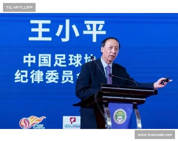 李铁红牌离场后俱乐部恐受罚 送30万给王小平求解困