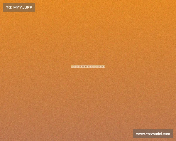 德甲联赛精彩纷呈各大球队深度解析与历史荣光回顾