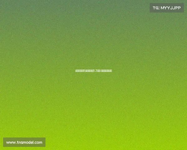 特斯拉中国8月交付新车8.3万辆 创年内交付新高