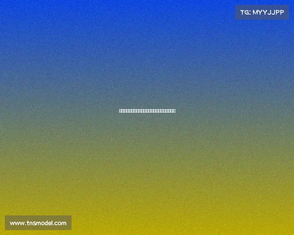 勒阿弗尔及其周边城市文化与历史探访之旅精彩体验